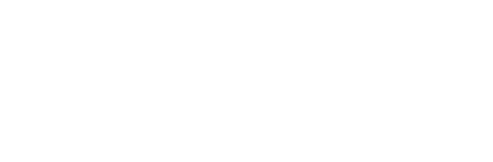 PBI new logo - white
